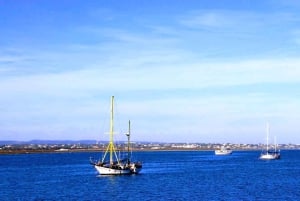 Olhão: Ria Formosa 3 Islands Guided Day Trip by Boat