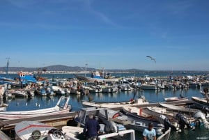 Olhão: Ria Formosa 3 Islands Guided Day Trip by Boat