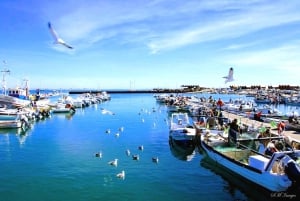 Olhão: Ria Formosa 3 Islands Guided Day Trip by Boat