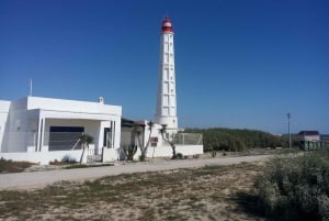 Olhão: Ria Formosa 3 Islands Guided Day Trip by Boat