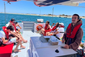 Olhão: Ria Formosa BBQ Explorers - Tour along the islands