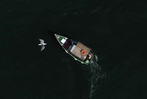 Olhão: Crucero en barco por la Ría Formosa hasta Armona y Culatra