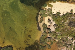 Olhão: Ria Formosa Boat Cruise