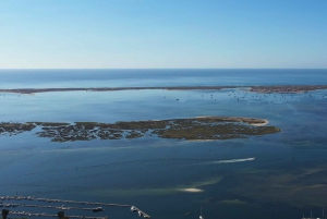 Olhão: Ria Formosa National Park and Islands Boat Cruise