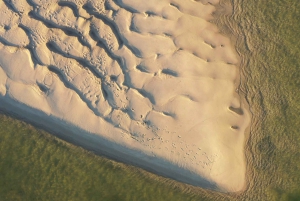 Olhão: Ria Formosa National Park and Islands Boat Cruise