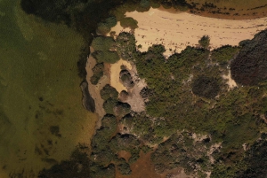 Olhão: Ria Formosa National Park and Islands Boat Cruise