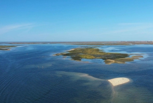 Olhão: Ria Formosa National Park and Islands Boat Cruise