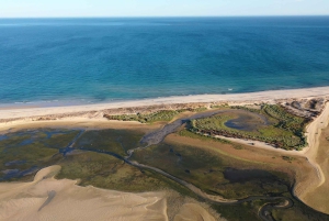 Olhão: Ria Formosa National Park and Islands Boat Cruise