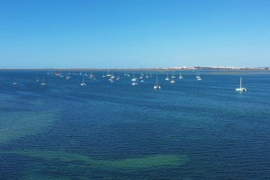 Olhão: Ria Formosa National Park and Islands Boat Cruise