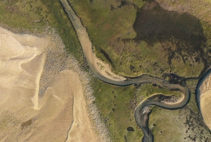 Olhão: Ria Formosa National Park and Islands Boat Cruise