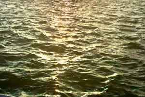 Olhão- Route of 2 fantastic Ria Formosa islands