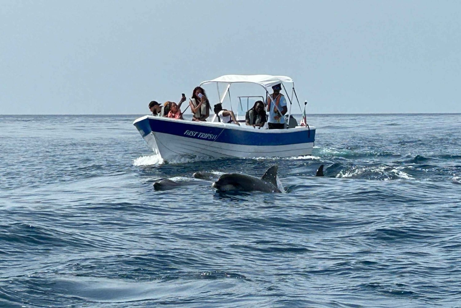Olhão- Safari con osservazione di delfini e altre specie