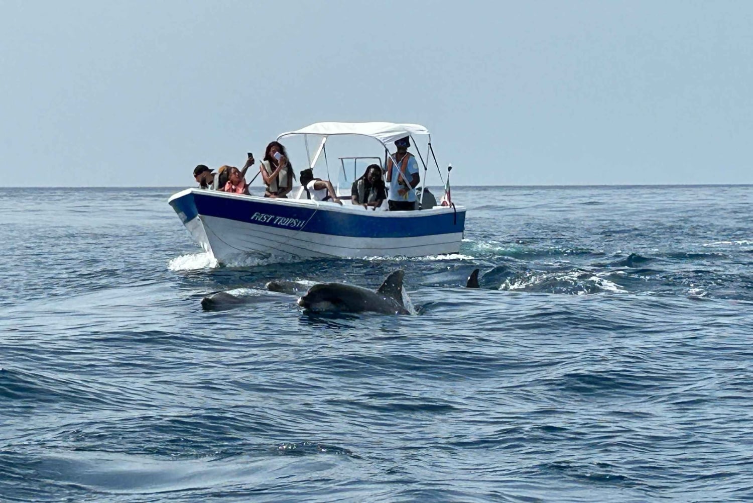 Olhão- Safari Watching Dolphins and other species