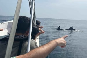 Olhão- Safari Watching Dolphins and other species