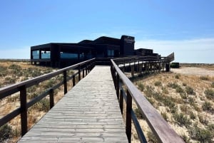 Olhão: Tur til Ria Formosa-øerne 5 timers tur