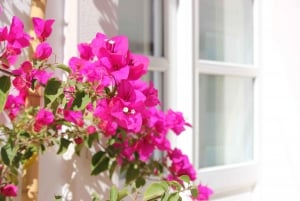 Olhão: Besøg og leg på samme tid - Familietur