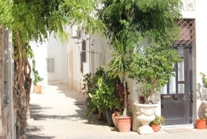 Olhão: Besøg og leg på samme tid - Familietur