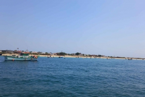 Passeio Barco na Ria Formosa 5H
