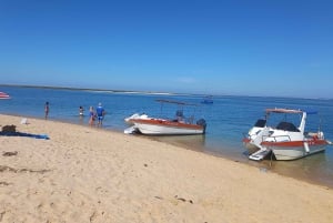 Passeio Barco na Ria Formosa 5H