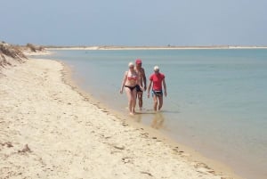 Passeio Barco na Ria Formosa 5H