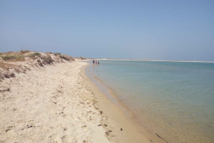 Passeio Barco na Ria Formosa 5H