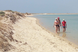 Passeio Barco na Ria Formosa 5H