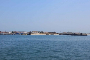 Passeio de barco na Ria Formosa 3H