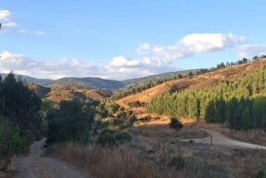 Pedal through Silence: Gravel Route from Portimão to Monchique