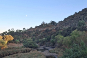 Pedal through Silence: Gravel Route from Portimão to Monchique