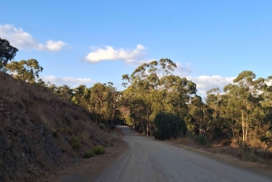 Pedal through Silence: Gravel Route from Portimão to Monchique