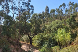 Pedal through Silence: Gravel Route from Portimão to Monchique