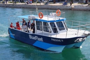 Ponta da Piedade: Cruzeiro de meio dia com almoço saindo de Lagos