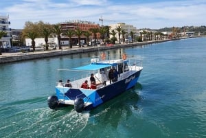 Ponta da Piedade: Half-Day Cruise with Lunch from Lagos