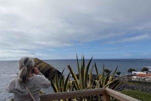 Ponta Delgada: Private Städtetour mit dem elektrischen Tuk-Tuk