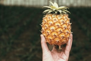 Ponta Delgada: tour di 2 giorni sull'isola di São Miguel