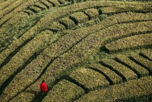 Ponta Delgada: tour di 2 giorni sull'isola di São Miguel