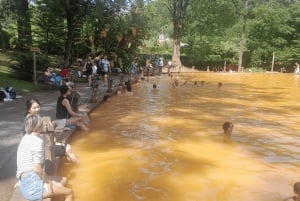 Ponta Delgada: tour di 2 giorni sull'isola di São Miguel