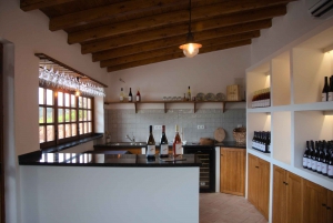 Porches: Algarve Vineyard Tour and Wine Tasting Experience