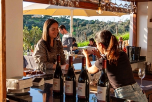 Porches: Algarve Vineyard Tour and Wine Tasting Experience