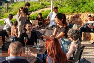 Portici: tour dei vigneti dell'Algarve ed esperienza di degustazione di vini