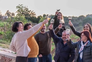 Porches: Passeio pelas Vinhas do Algarve e Prova de Vinhos