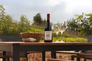 Werandy: wycieczka po winnicy Algarve i degustacja wina