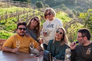 Kuistit: Algarve Vineyard Tour ja viininmaistelu Experience