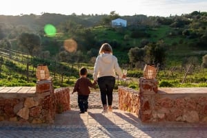 Portici: tour dei vigneti dell'Algarve ed esperienza di degustazione di vini
