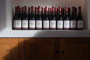 Verandaer: Algarve Vineyard Tour og vinsmakingsopplevelse