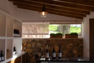 Porches: Weinbergstour und Weinverkostung an der Algarve