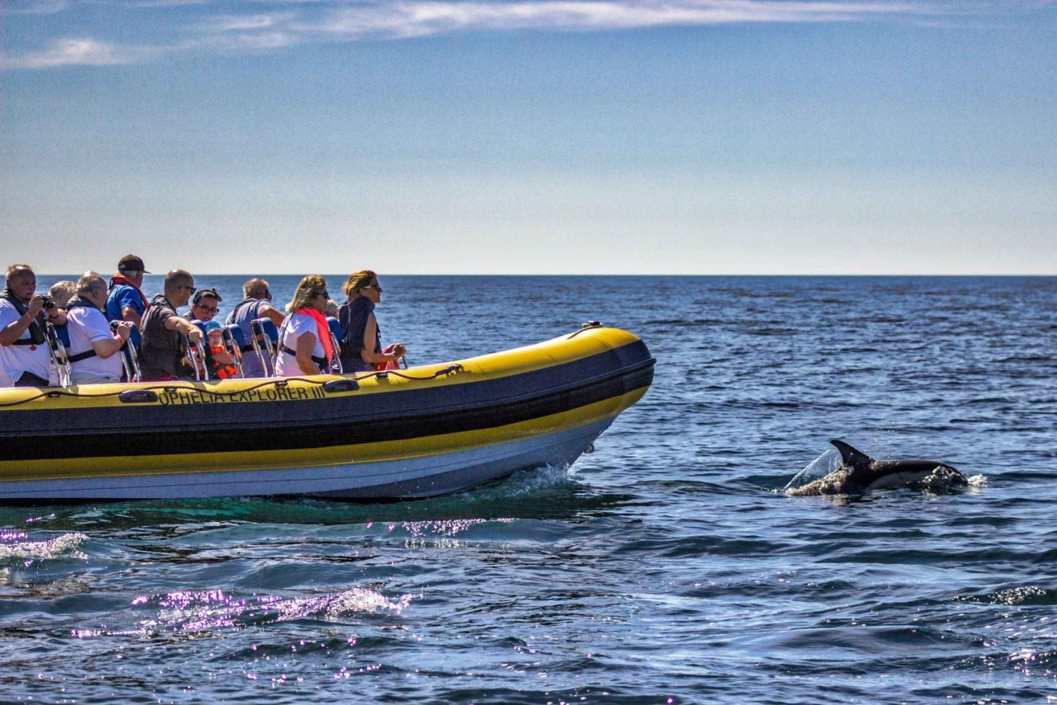 Portimão: 2-timers båttur med delfinsafari