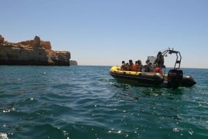 Portimão: 2-Hour Dolphin Watching Boat Tour