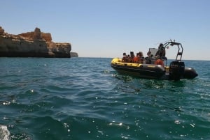 Portimão: passeio de barco de observação de golfinhos de 2 horas