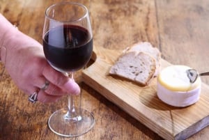 Portimão: 3-Hour Food and Historical Center Tour